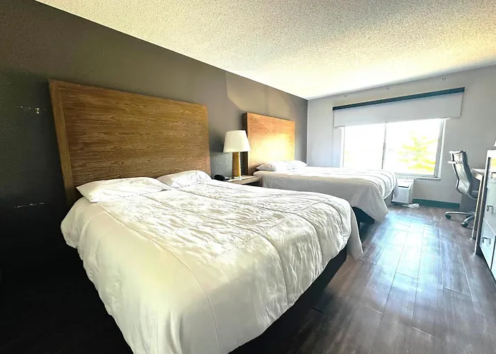 Hotel Baymont And By Wyndham / Near Osu 2*