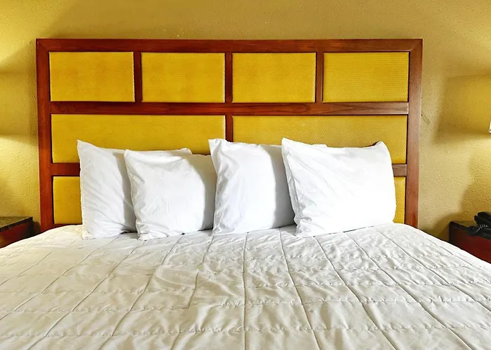 Hotel Baymont And By Wyndham / Near Osu 2*