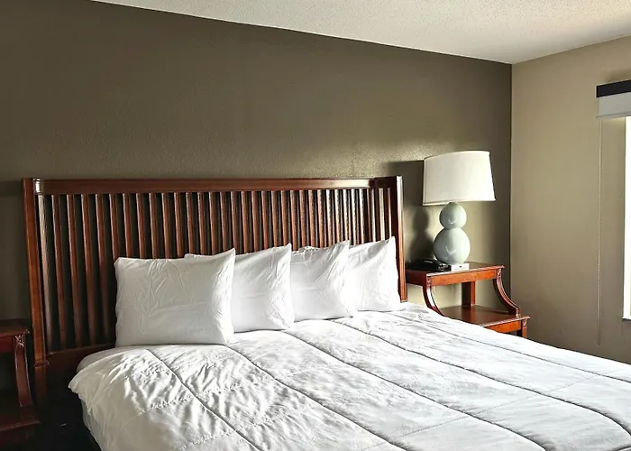 Baymont And By Wyndham / Near Osu Hotel 2*