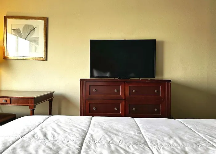 Hotel Baymont And By Wyndham / Near Osu 2*