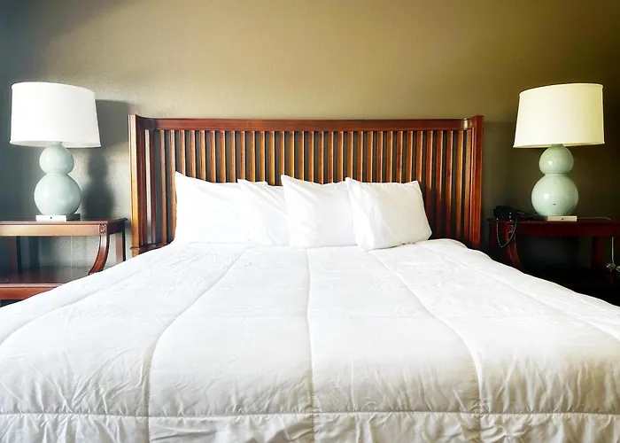 Hotel Baymont And By Wyndham / Near Osu Columbus