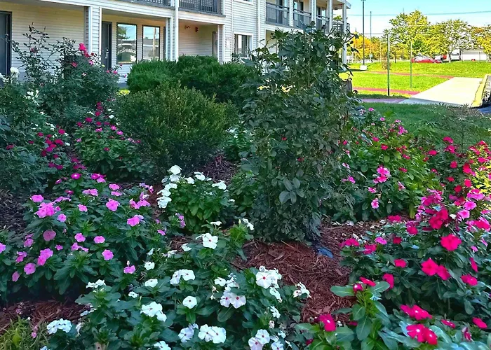 Hotel Baymont And By Wyndham / Near Osu