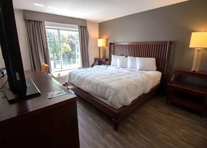 Hotel Baymont And By Wyndham / Near Osu 2*