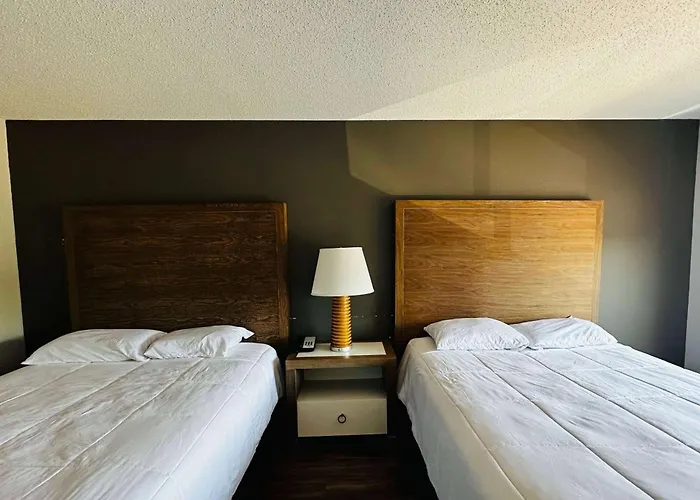 Hotel Baymont And By Wyndham / Near Osu 2*