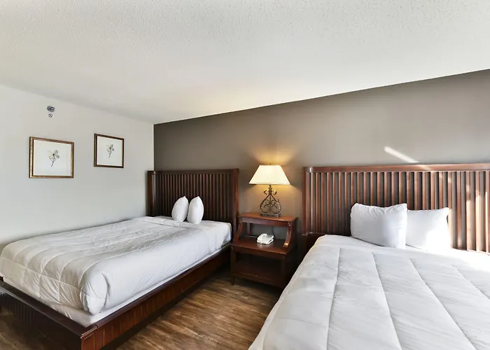 Baymont And By Wyndham / Near Osu Hotel 2*