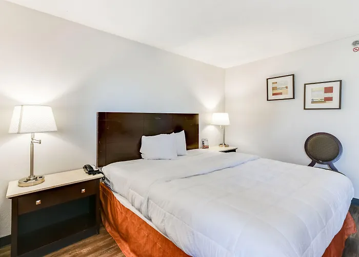 Hotel Baymont And By Wyndham / Near Osu 2*