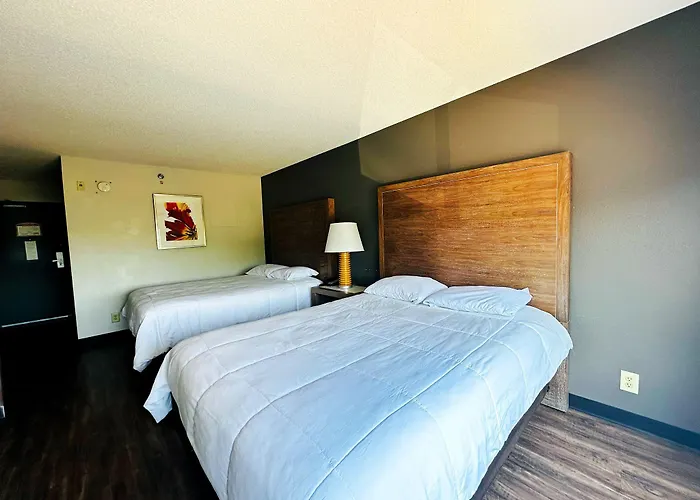 Hotel Baymont And By Wyndham / Near Osu 2*